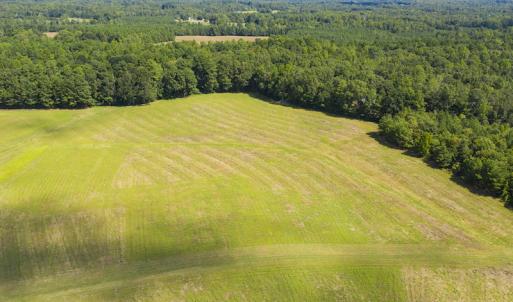 Photo #3 of SOLD property in Off John Lewis Road, Burlington, NC 10.0 acres