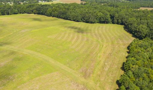 Photo #4 of SOLD property in Off John Lewis Road, Burlington, NC 10.0 acres