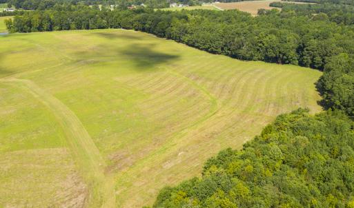 Photo #5 of SOLD property in Off John Lewis Road, Burlington, NC 10.0 acres