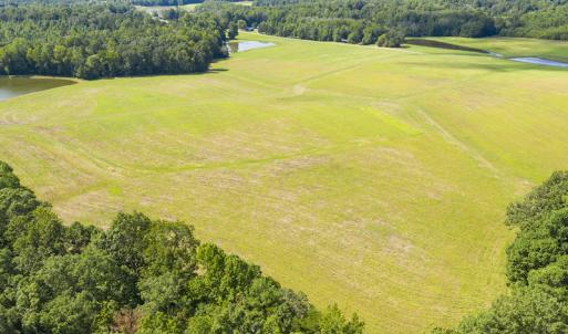Photo #9 of SOLD property in Off John Lewis Road, Burlington, NC 10.0 acres