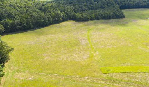 Photo #11 of SOLD property in Off John Lewis Road, Burlington, NC 10.0 acres