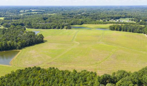 Photo #13 of SOLD property in Off John Lewis Road, Burlington, NC 10.0 acres
