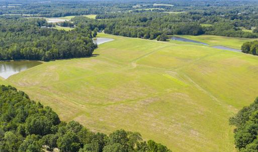 Photo #14 of SOLD property in Off John Lewis Road, Burlington, NC 10.0 acres