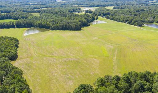 Photo #15 of SOLD property in Off John Lewis Road, Burlington, NC 10.0 acres