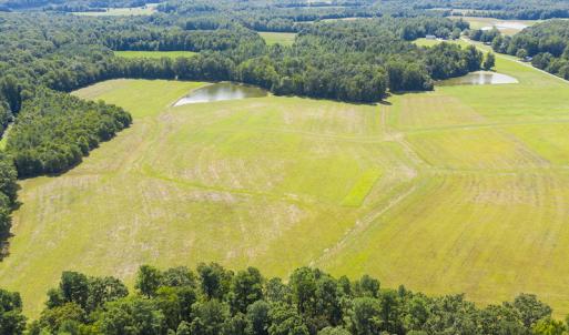 Photo #16 of SOLD property in Off John Lewis Road, Burlington, NC 10.0 acres