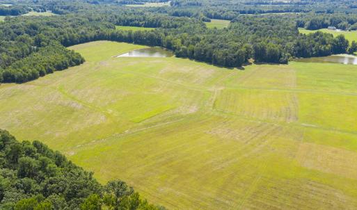 Photo #17 of SOLD property in Off John Lewis Road, Burlington, NC 10.0 acres