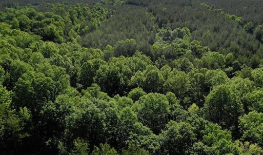 Photo #4 of SOLD property in Off Lewis Ford Road, Brookneal, VA 128.4 acres