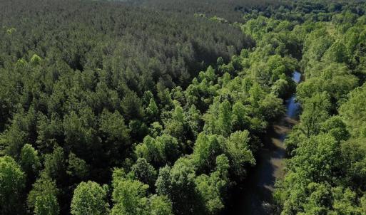 Photo #5 of SOLD property in Off Lewis Ford Road, Brookneal, VA 128.4 acres
