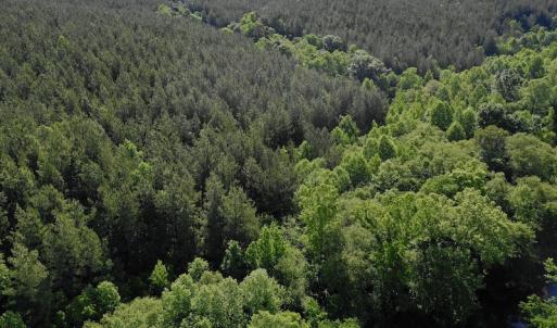 Photo #6 of SOLD property in Off Lewis Ford Road, Brookneal, VA 128.4 acres