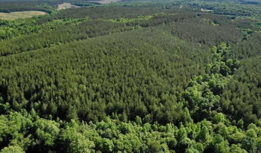 Photo #7 of SOLD property in Off Lewis Ford Road, Brookneal, VA 128.4 acres