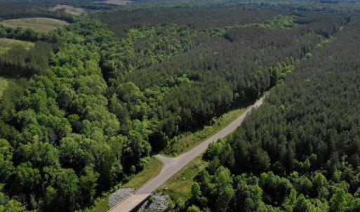 Photo #8 of SOLD property in Off Lewis Ford Road, Brookneal, VA 128.4 acres