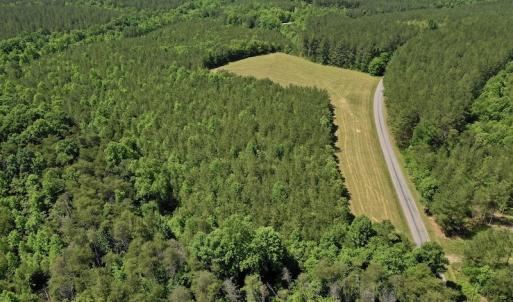 Photo #10 of SOLD property in Off Lewis Ford Road, Brookneal, VA 128.4 acres
