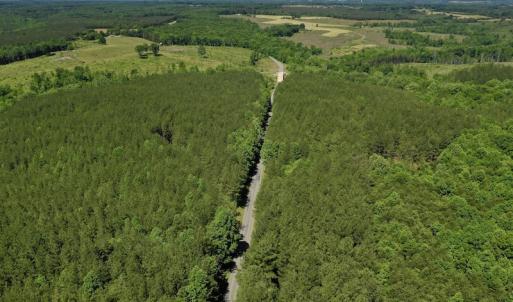 Photo #12 of SOLD property in Off Lewis Ford Road, Brookneal, VA 128.4 acres