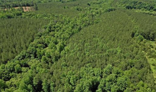 Photo #14 of SOLD property in Off Lewis Ford Road, Brookneal, VA 128.4 acres