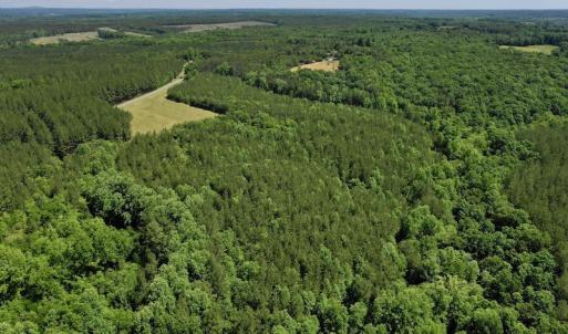 Photo #16 of SOLD property in Off Lewis Ford Road, Brookneal, VA 128.4 acres