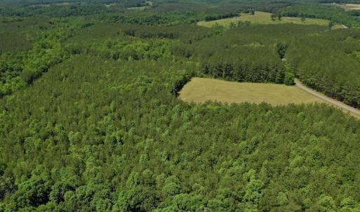 Photo #17 of SOLD property in Off Lewis Ford Road, Brookneal, VA 128.4 acres