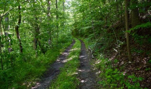 Photo #20 of SOLD property in Off Lewis Ford Road, Brookneal, VA 128.4 acres