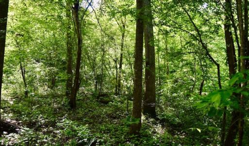 Photo #27 of SOLD property in Off Lewis Ford Road, Brookneal, VA 128.4 acres