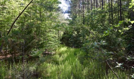 Photo #32 of SOLD property in Off Lewis Ford Road, Brookneal, VA 128.4 acres