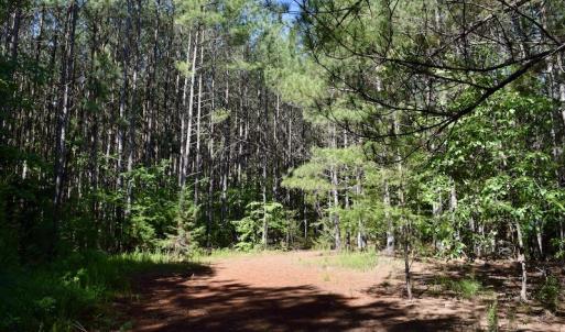 Photo #33 of SOLD property in Off Lewis Ford Road, Brookneal, VA 128.4 acres
