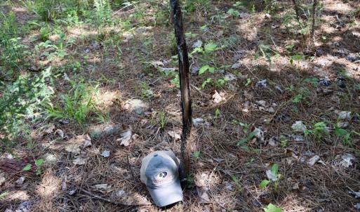Photo #34 of SOLD property in Off Lewis Ford Road, Brookneal, VA 128.4 acres