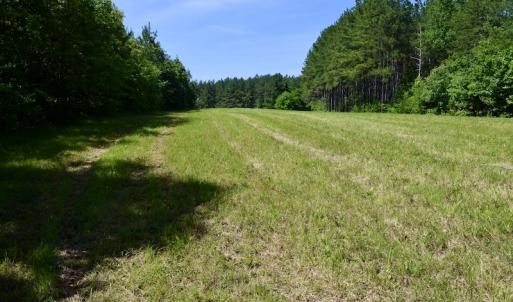 Photo #41 of SOLD property in Off Lewis Ford Road, Brookneal, VA 128.4 acres