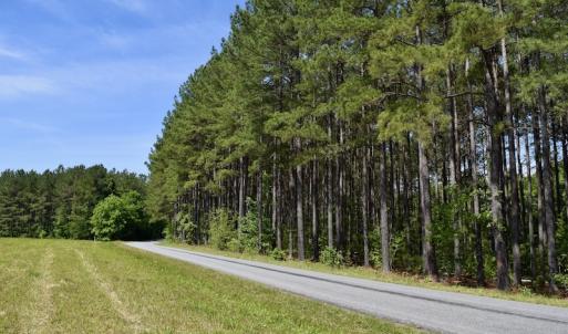 Photo #42 of SOLD property in Off Lewis Ford Road, Brookneal, VA 128.4 acres