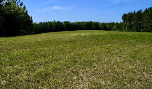 Photo #43 of SOLD property in Off Lewis Ford Road, Brookneal, VA 128.4 acres