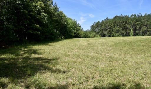 Photo #45 of SOLD property in Off Lewis Ford Road, Brookneal, VA 128.4 acres