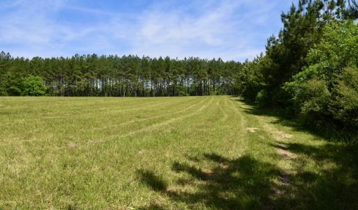 Photo #46 of SOLD property in Off Lewis Ford Road, Brookneal, VA 128.4 acres