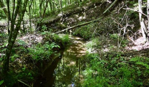 Photo #47 of SOLD property in Off Lewis Ford Road, Brookneal, VA 128.4 acres