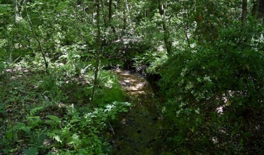 Photo #49 of SOLD property in Off Lewis Ford Road, Brookneal, VA 128.4 acres