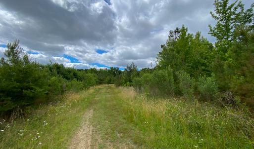 Photo #3 of SOLD property in 396 Raymond Lowery Drive, Roxboro, NC 225.0 acres