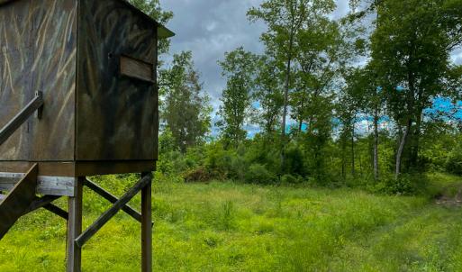 Photo #51 of SOLD property in 396 Raymond Lowery Drive, Roxboro, NC 225.0 acres