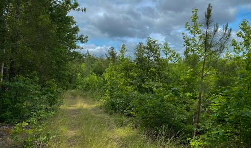 Photo #52 of SOLD property in 396 Raymond Lowery Drive, Roxboro, NC 225.0 acres