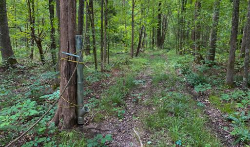 Photo #53 of SOLD property in 396 Raymond Lowery Drive, Roxboro, NC 225.0 acres