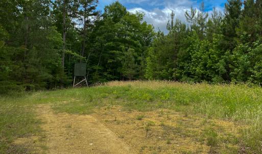 Photo #55 of SOLD property in 396 Raymond Lowery Drive, Roxboro, NC 225.0 acres