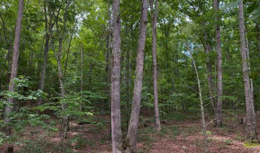 Photo #56 of SOLD property in 396 Raymond Lowery Drive, Roxboro, NC 225.0 acres