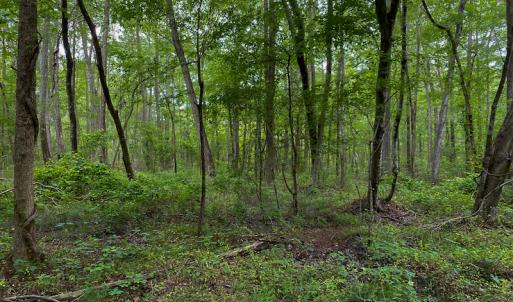 Photo #57 of SOLD property in 396 Raymond Lowery Drive, Roxboro, NC 225.0 acres