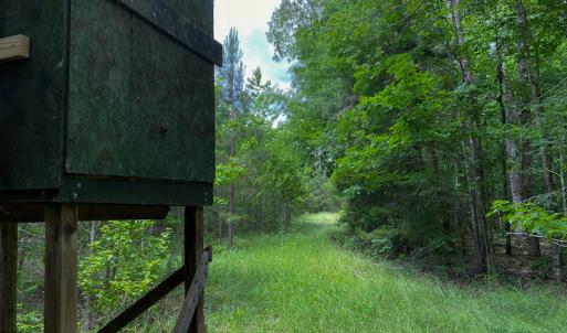 Photo #58 of SOLD property in 396 Raymond Lowery Drive, Roxboro, NC 225.0 acres