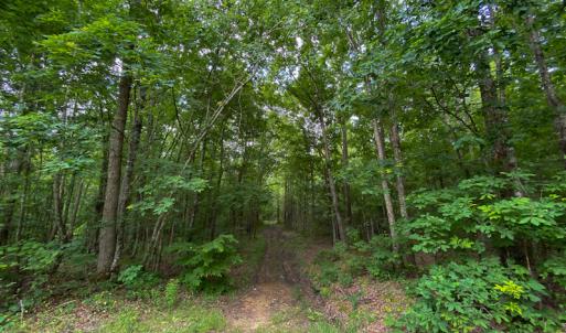 Photo #8 of SOLD property in 396 Raymond Lowery Drive, Roxboro, NC 225.0 acres
