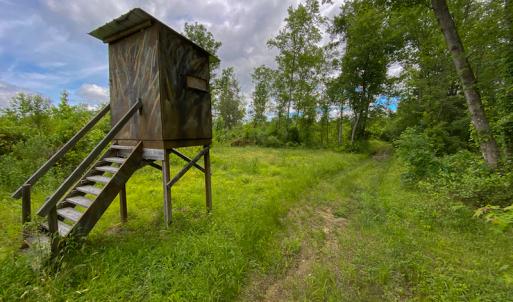 Photo #10 of SOLD property in 396 Raymond Lowery Drive, Roxboro, NC 225.0 acres
