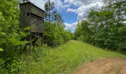 Photo #4 of SOLD property in 396 Raymond Lowery Drive, Roxboro, NC 225.0 acres