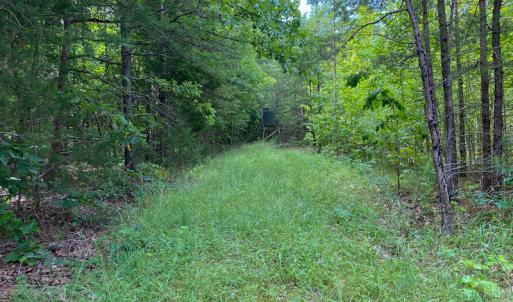 Photo #11 of SOLD property in 396 Raymond Lowery Drive, Roxboro, NC 225.0 acres