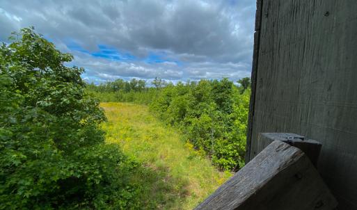 Photo #12 of SOLD property in 396 Raymond Lowery Drive, Roxboro, NC 225.0 acres