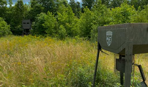 Photo #13 of SOLD property in 396 Raymond Lowery Drive, Roxboro, NC 225.0 acres