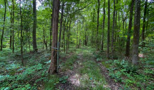 Photo #14 of SOLD property in 396 Raymond Lowery Drive, Roxboro, NC 225.0 acres