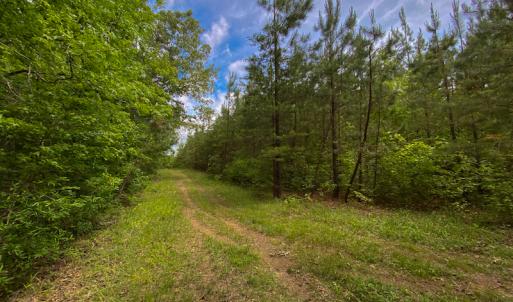 Photo #16 of SOLD property in 396 Raymond Lowery Drive, Roxboro, NC 225.0 acres