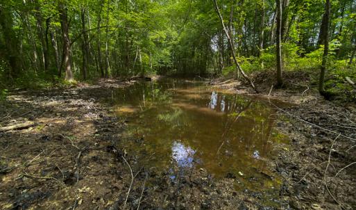 Photo #17 of SOLD property in 396 Raymond Lowery Drive, Roxboro, NC 225.0 acres