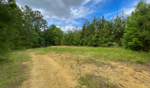 Photo #18 of SOLD property in 396 Raymond Lowery Drive, Roxboro, NC 225.0 acres